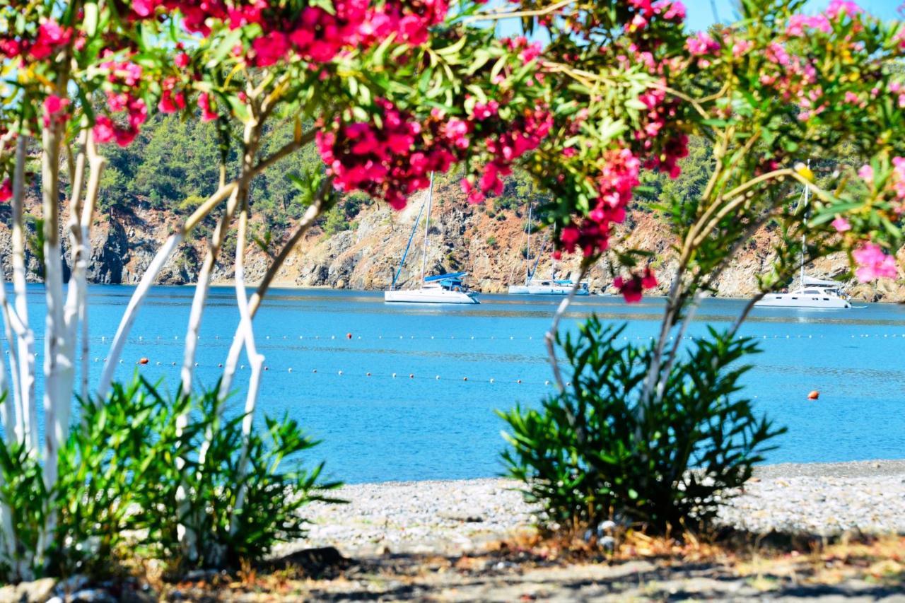 Вилла Santana Gocek Гёчек Экстерьер фото